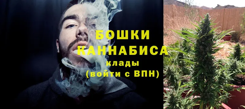 Шишки марихуана Ganja  Спасск 